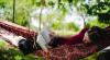 10 books by Wisconsin authors to add to your summer reading list