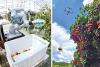 Wheat harvest accelerated by advanced farming tech
