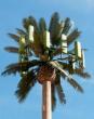 Hawaiiâs Big Island balances tech expansion and health safeguards with groundbreaking cell tower law