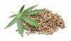 Hemp Food Division by Blue Sky Hemp Sold to Fresh Hemp Foods