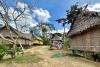Investigation of fraudulent forest finance schemes wins Trace Prize accolade