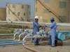 OGDCL boosts oil, gas production at Rajian-05 Well in Chakwal through successful ESP installation