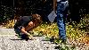 Buncombe County Schools hosts free agriculture camp for 5th to 8th graders