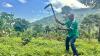 In Uganda, Deadly Landslides Force an Agricultural Reckoning