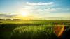 ‘It doesn’t have to be this way’: Scientists confirm Iowa farm pollution is creating dire health risks