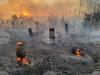 Over 90% of Forest Fires in Bulgaria Are Result of Human Activity, WWF Analysis Shows