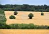 Agricultural Land Deals Reach 5.9% Annual Growth in Bulgaria