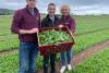 Horticulture vital to NI’s agri-food sector