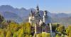 Tourist crams poor pet dog in scorching locker to explore a castle