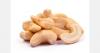 Cambodia cashew exports rise 15%