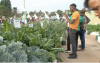 Scientists show off climate-smart, disease-resistant crops at Jinja agricultural show