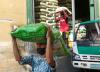 Philippines remained net food, agriculture importer in May 2025