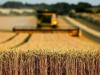 PM advocates agri reforms, increased output
