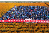 China's market regulator promotes agricultural standardization in Zambia to deepen Sino-African ties