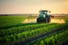 Government Bans Urea Plant Shutdowns to Prevent Shortage Amid Reform Push