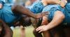 Inside England Rugby's stunning Argentine training base in La Plata