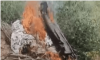 Indian Air Force jet crashes in Rajasthan: reports