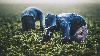 Why is Greece’s farming industry in peril?