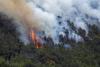 Europe wildfires map: Where summer fires have struck from France and Spain to Greece