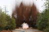 North Korean troops violated military demarcation line 11 times over last year, South's military says