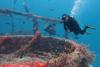 Musandam to host Oman’s first-ever International Diving Festival in August