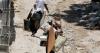 world 'Ghost camp': Israeli operations in West Bank push wave of Palestinians from their homes