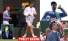 Humiliation of the Wimbledon line judges who lost their jobs to robots: How ex-officials are now 'glorified butlers' who take players to the TOILET and open cans of balls after being replaced by AI tech