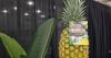 Fresh Del Monte’s Zero pineapple shows how fruitful sustainability can be