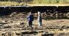 Crop loss program offers $16B in aid from Helene, other natural disasters