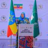 Africa Requires Collaborative Efforts in Terms of Economy, Infrastructure Connectivity to Ensure Dev’t: Ethiopia’s Minister