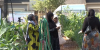 Women’s Rainbow Farm invites immigrants, refugees to grow food and community