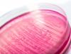 Australian scientists use AI to create protein that kills superbugs