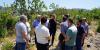 Minister of Agriculture inspects lands damaged by fires in the northern Lattakia countryside