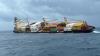Court Orders Arrest of Cargo Ship Over Environmental Damage