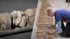 Denver science museum unearths rare dinosaur fossil under its parking lot