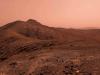 Science Martha Stewart Living A Rare Space Rock From a Different Planet Is for Sale—and Bidders Are Expected to Pay Millions