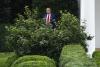 Watch Trump being creepy—and dumb—again