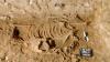 Ancient donkey sacrifice ritual unearthed in Israel sheds light on Egyptian trade links