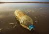 Microplastics act as ‘rafts’, increasing the threat to environmental and public health