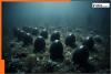 Scientists found mysterious black eggs 20000 feet beneath the Pacific Ocean, inside they found...