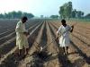 National food security demands farmers’ security