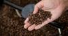 Trump's tariffs on Brazil could make your coffee even more expensive