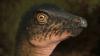 Denver museum finds dinosaur bone under its parking lot