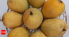 GB Pant University scientists make autumn-ripening mango named after Operation Sindoor