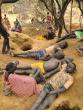 Bee attack kills Chinese miner, injures three in Kapoeta South