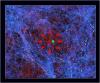 Scientists believe our Milky Way galaxy may be inside a giant 'cosmic void' in the universe