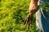 Food giants graded a “D” on sustainable farming practices