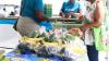 Farmers From The Communities Of Monchy And Babonneau Receive Health Screening And Education