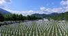 Bosnia marks 30 years since Srebrenica massacre