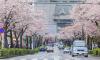 Japan scrambling to exempt their auto industry from Trump’s 25% tariff